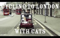 You have cat to be kitten me – 2 cats travel from Amsterdam to London launching Poopy Cat in the UK