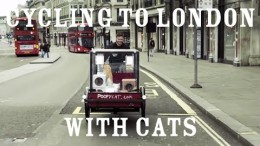 You have cat to be kitten me – 2 cats travel from Amsterdam to London launching Poopy Cat in the UK