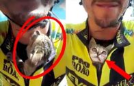 Kitten Won’t Stop Kissing Cyclist Who Saved Her From Certain Death