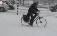 Cycling in the snow, Den Bosch (Netherlands)